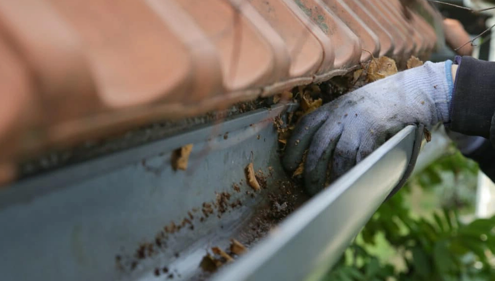 Tradie Website for Bayside Gutter Cleaning
